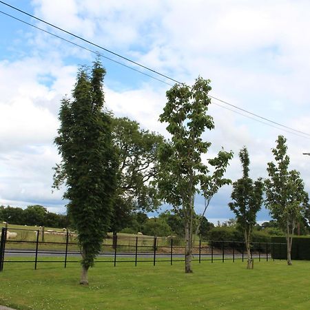 Contemporary Countryside Home Dromore  Kültér fotó